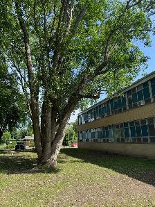 Labor $22/hr cash. work today paid today Woodroffe/knoxdale - Photo 2