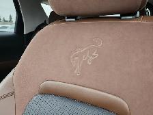 2022 Ford Bronco Sport Badlands Badlands 4x4 - Photo 12