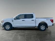 2021 Ford F-150 XLT - Photo 2
