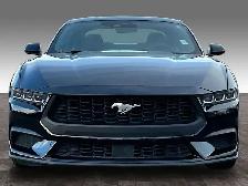 2025 Ford Mustang ECO BOOST - Photo 3