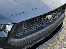 2025 Ford Mustang ECO BOOST - Photo 28