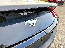 2025 Ford Mustang ECO BOOST - Photo 29