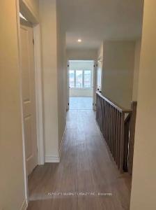 Rooms for rent