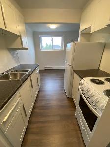2 Bedroom Apartment Near Pen Centre, Brock & Hwy 406 - Photo 4