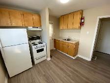 Cozy 1 Bedroom in Thorold - Close to Brock / Highway - Photo 2