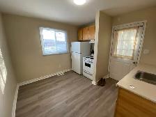 Cozy 1 Bedroom in Thorold - Close to Brock / Highway - Photo 3