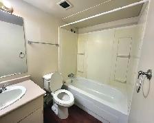 330 14 Ave SW - Studio 505 - Photo 4