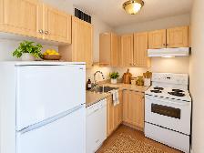 330 14 Ave SW - Studio 204 - Photo 2