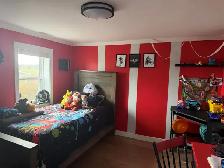 3 Banting St, Musgrave Harbour - Photo 7