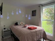 3 Banting St, Musgrave Harbour - Photo 8