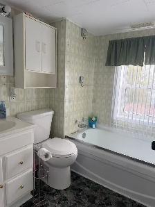 3 Banting St, Musgrave Harbour - Photo 9