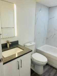 Basement Suit (Legal 2 Bedrooms) - Photo 3