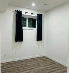 Basement Suit (Legal 2 Bedrooms) - Photo 5