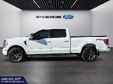 FORD F150 XLT SPORT 302A CREW 6 1/2 MAGS 20 TOUT EQUIPÉ ADMISSIB - Photo 9
