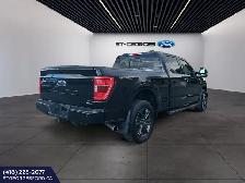 FORD F150 XLT SPORT 302 A CREW 6 1/2 4X4 V6 3.5L ECOBOOST TOUT E - Photo 6