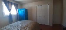 rent a room for female - Photo 4