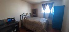 rent a room for female - Photo 5