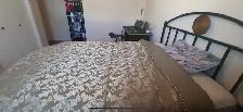 rent a room for female - Photo 6