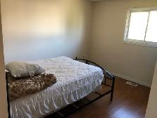 rent a room for female - Photo 10