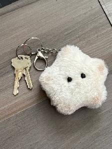 Star Plush Keychain found