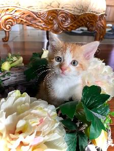 CUTENESS & CUDDLES