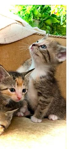 CUTENESS & CUDDLES - Photo 2