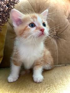 CUTENESS & CUDDLES - Photo 3