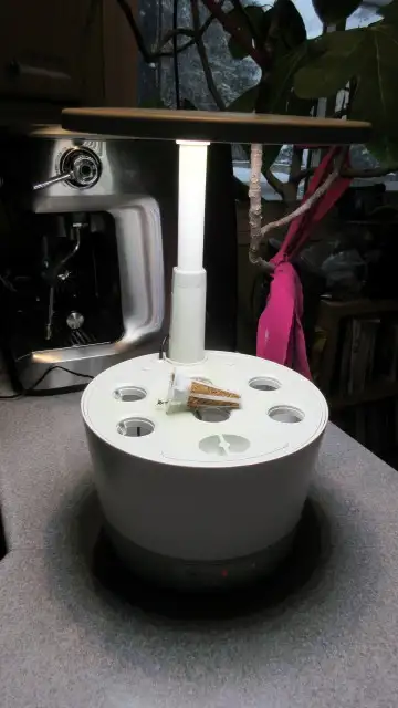 Aerogarden automated hydroponic system