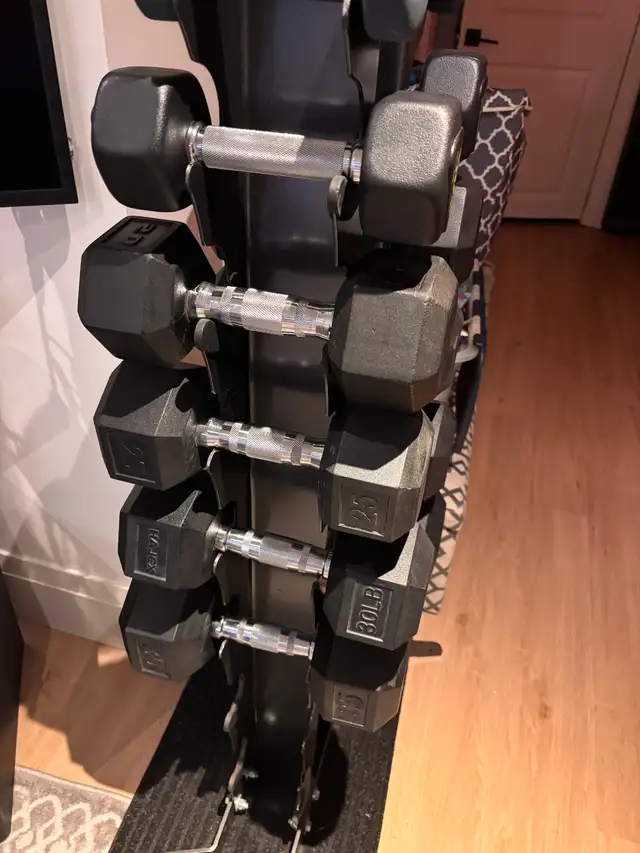 Gym Weights, Barbells, Dumbbell, Home Gym Equipment Moving Sale