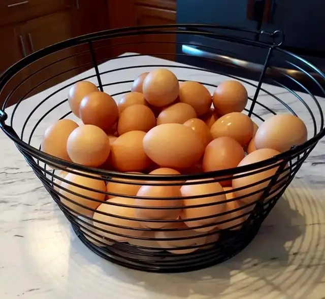 FARM FRESH EGGS