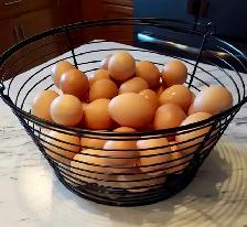 FARM FRESH EGGS