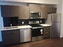Brand-New 1 Bedroom   Den Condo for Rent - Photo 3