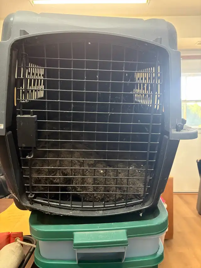 puppy travel crate