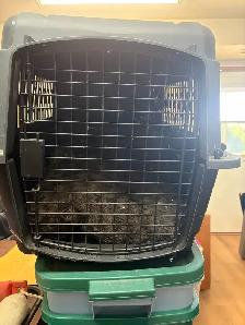 puppy travel crate