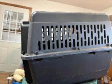 puppy travel crate - Photo 2