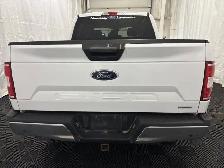 2019 Ford F-150 XLT 301A 3.5L HITCH REM START VINYL FLOOR - Photo 12