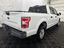 2019 Ford F-150 XLT 301A 3.5L HITCH REM START VINYL FLOOR - Photo 16