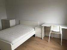 One bedroom with Ensuite 4 pcs bathroom for rent near UOIT - Photo 5