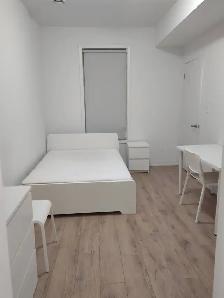 One bedroom with Ensuite 4 pcs bathroom for rent near UOIT - Photo 8