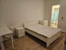 One bedroom with Ensuite 4 pcs bathroom for rent near UOIT - Photo 10