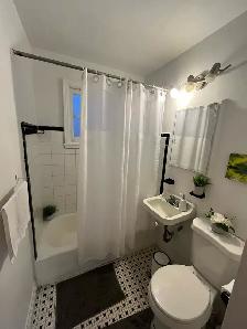 2.5 / 3.5 blvd St Michel dispo janvier - Photo 3