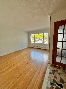 Grand 5 ½ rénové au rez-de-chaussée — disponible dès maintenant - Photo 6