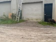 FOR LEASE: Landscaper’s Yard & Storage Bay - Photo 4
