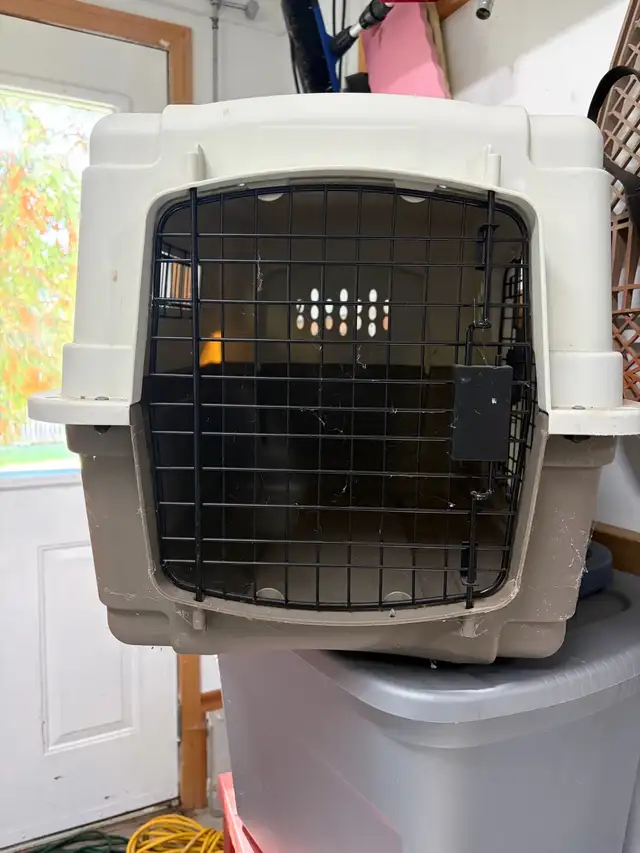 Puppy Crate 2 way entry