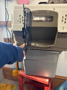 Puppy Crate 2 way entry - Photo 3