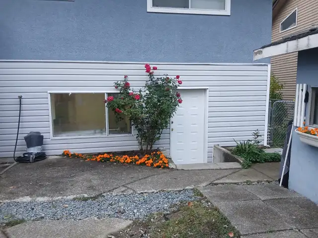 2 Bedrooms 1 washroom spacious bilevel basement in Fleetwood