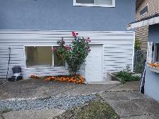 2 Bedrooms 1 washroom spacious bilevel basement in Fleetwood