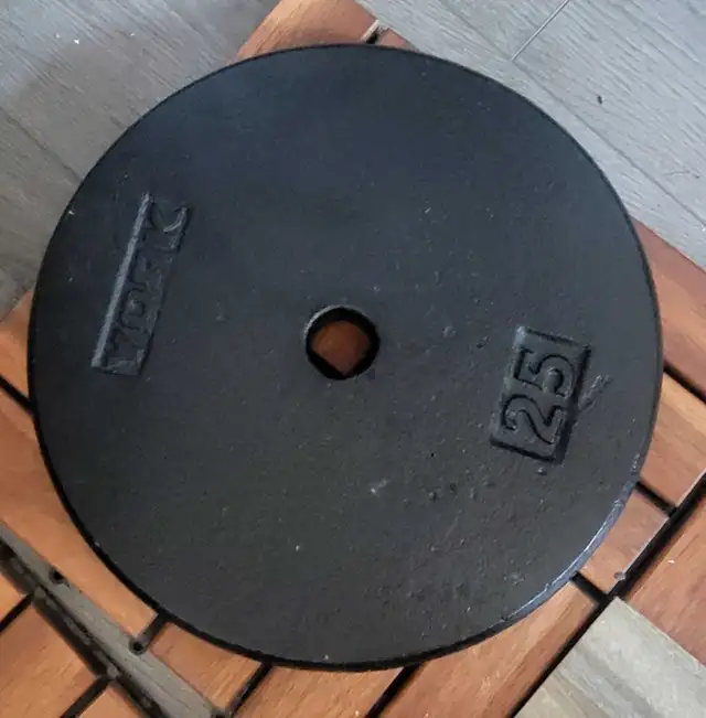 25' weight plate (2)