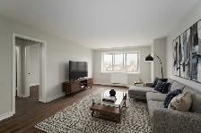 Junior One Bedroom - Amazing deal, great space!