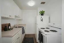Junior One Bedroom - Amazing deal, great space! - Photo 2
